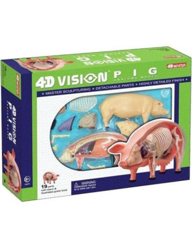 Modelo de Anatomía de Cerdo 4D TEDCO 26102 - Juguete Educativo