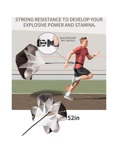 Conjunto de Entrenamiento de Agilidad GHB - 6 Postes, Escalera 6.1m
