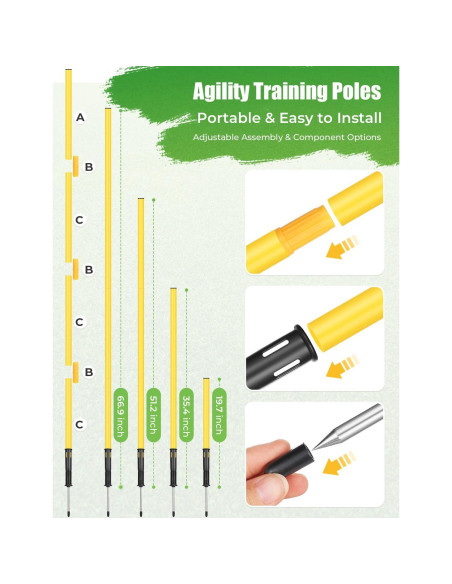 Conjunto de Entrenamiento de Agilidad GHB - 6 Postes, Escalera 6.1m