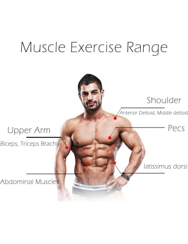 Rueda de Abdominales A.F.N.A.L con Resorte de Resistencia 37 cm