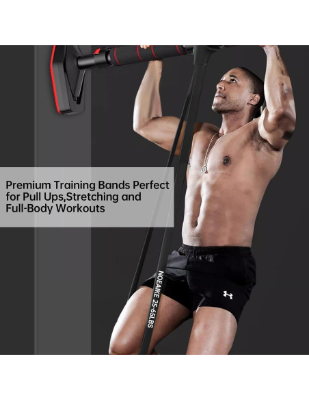 Bandas de Resistencia NOEAIKE para Ejercicio en Casa - 0.99 kg