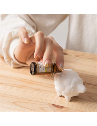 Difusor de Aceite Esencial Cerámica Terra - Set de 3 Piezas