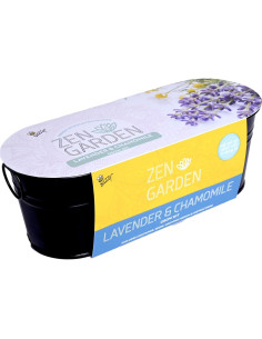 Kit de Jardín Zen Buzzy - Semillas de Manzanilla y Lavanda 2