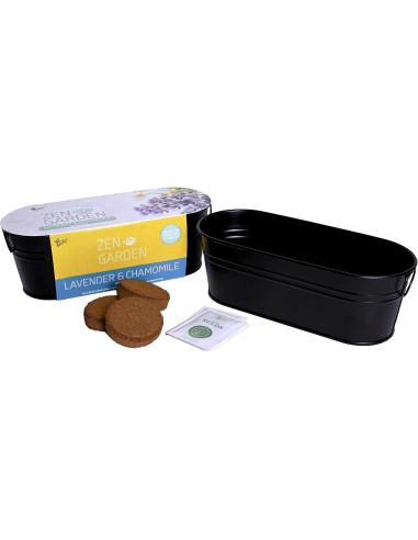 Kit de Jardín Zen Buzzy - Semillas de Manzanilla y Lavanda