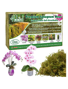 Musgo Sphagnum Premium Halatool 226g para Plantas de Interior