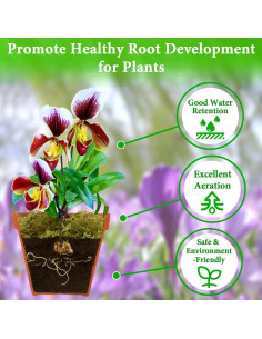 Musgo Sphagnum Premium Halatool 226g para Plantas de Interior 2