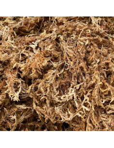 Musgo Sphagnum Mejor-Gro 250ml Natural para Cultivo de Plantas 2