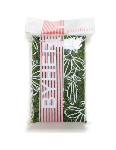 Musgo Conservado Byher 92926 Verde Fresco 450 g