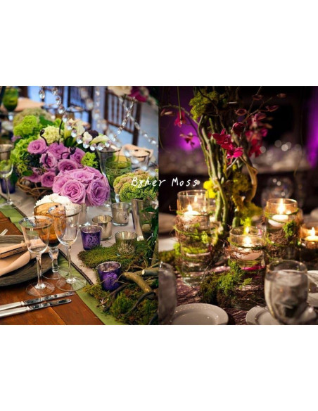 Musgo Conservado Byher 92926 Verde Fresco 450 g