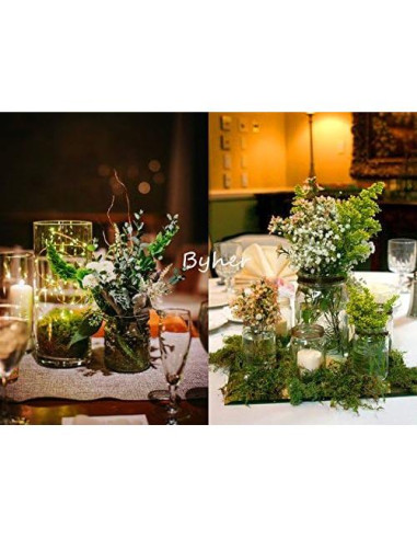 Musgo Conservado Byher 92926 Verde Fresco 450 g