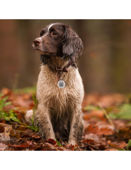 Etiqueta de Identificación para Mascotas Dokitag QR Pequeña Negra