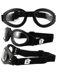 Gafas de Motocicleta Birdz Parrot 4 Lentes UV400 Unisex 2