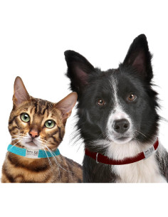 Placa de Identificación QR para Mascotas PAWNIMALS - Acero Inoxidable 2