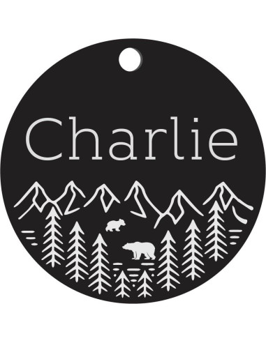 Placa de Identificación Personalizada para Perros - Acero Inoxidable