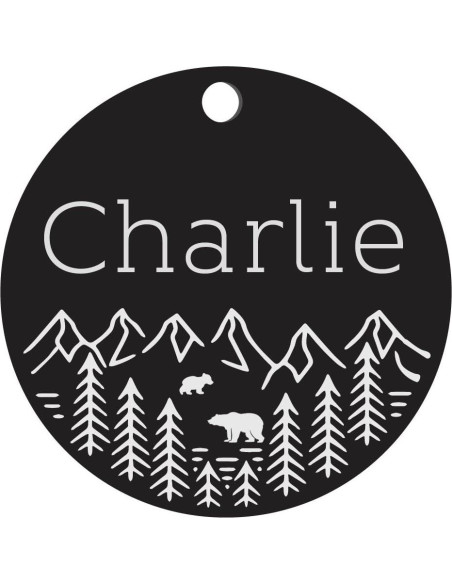 Placa de Identificación Personalizada para Perros - Acero Inoxidable