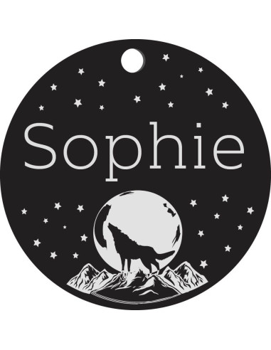 Placa de Identificación Personalizada para Perros - Acero Inoxidable