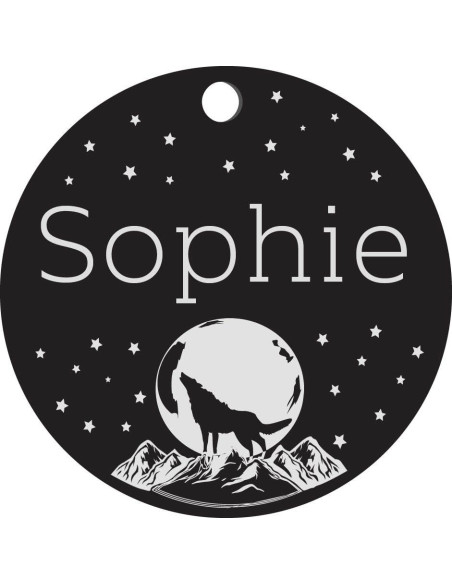 Placa de Identificación Personalizada para Perros - Acero Inoxidable