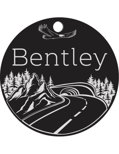 Placa de Identificación Personalizada para Perros - Acero Inoxidable