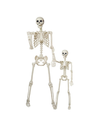 Esqueleto Halloween Breesky 1.65m y 0.91m Articulado