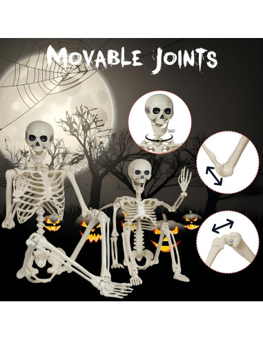 Esqueleto Halloween Breesky 1.65m y 0.91m Articulado