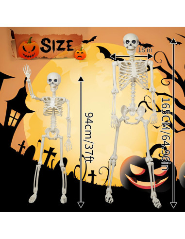 Esqueleto Halloween Breesky 1.65m y 0.91m Articulado