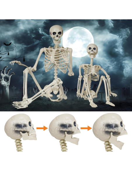 Esqueleto Halloween Breesky 1.65m y 0.91m Articulado