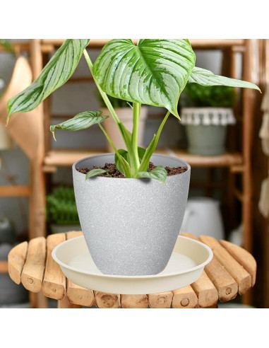 Paquete de 6 bandejas para macetas OVZILKI 10 cm Beige