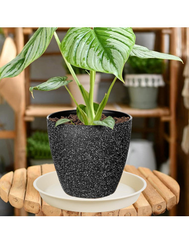 Paquete de 6 bandejas para macetas OVZILKI 10 cm Beige