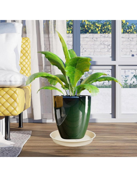 Paquete de 6 bandejas para macetas OVZILKI 10 cm Beige