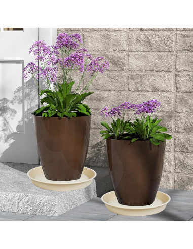 Paquete de 6 bandejas para macetas OVZILKI 10 cm Beige