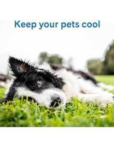 Almohadilla Fresca para Mascotas The Green Pet Shop Mediana Azul - Gel Autocoolante para Perros y Gatos 9.5-20.4 kg 2