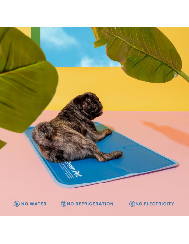 Almohadilla Fresca para Mascotas The Green Pet Shop Mediana Azul - Gel Autocoolante para Perros y Gatos 9.5-20.4 kg