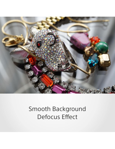 Lente Sony SEL50F18 50mm f/1.8 para Cámaras E Mount - Renovado