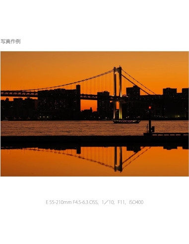 Lente Sony E 55-210mm F4.5-6.3 OSS para Cámaras E (Renovado)