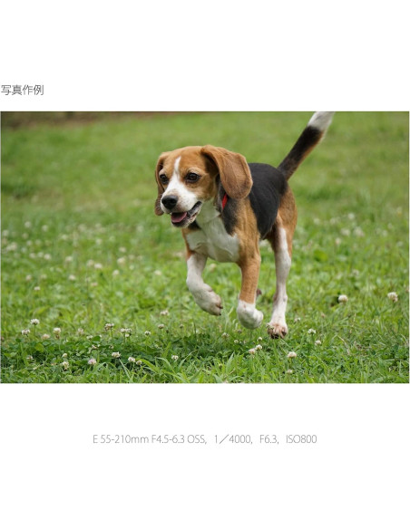 Lente Sony E 55-210mm F4.5-6.3 OSS para Cámaras E (Renovado)