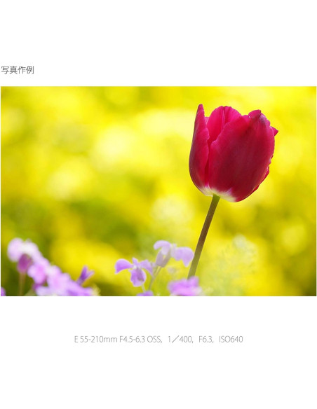 Lente Sony E 55-210mm F4.5-6.3 OSS para Cámaras E (Renovado)