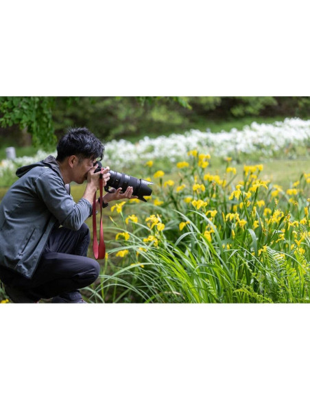 Lente Supertelefoto Nikon NIKKOR Z 100-400mm f/4.5-5.6 VR S + Accesorios