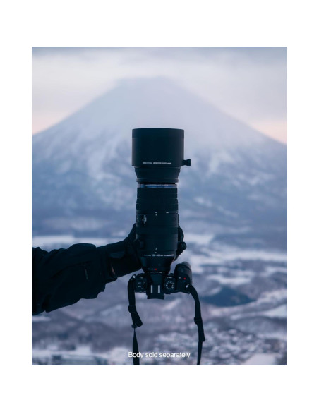 Lente OM System M.Zuiko 150-600mm f/5-6.3 IS Micro Cuatro Tercios