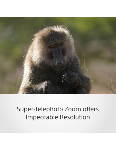 Lente Sony SEL200600G Zoom Super Telefoto 200-600mm 2.10kg