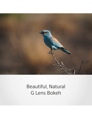 Lente Sony SEL200600G Zoom Super Telefoto 200-600mm 2.10kg