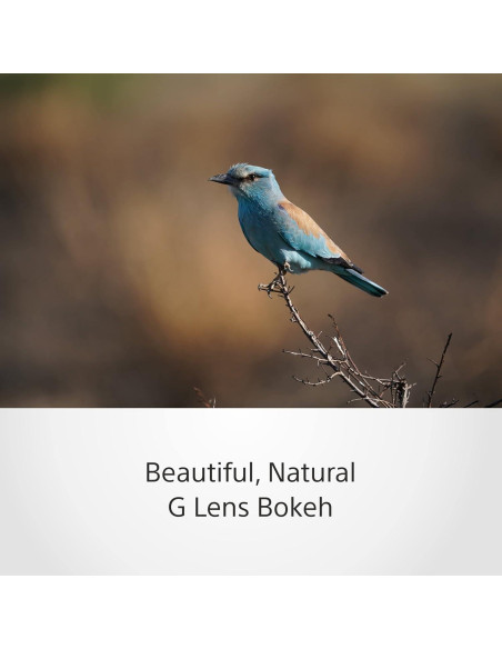 Lente Sony SEL200600G Zoom Super Telefoto 200-600mm 2.10kg