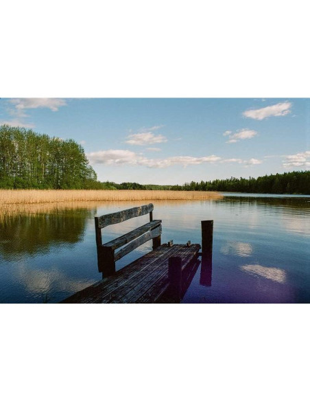 Cámara SLR Olympus OM-1 35mm con lente 50mm f/1.8 Renovada