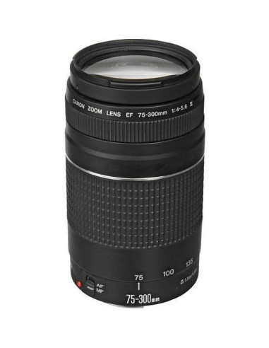 Cámara Digital Sin Espejo Canon EOS RP + 3 Lentes y Accesorios