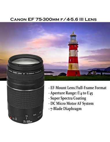 Cámara DSLR Canon EOS Rebel T7 con 3 Lentes y Wi-Fi