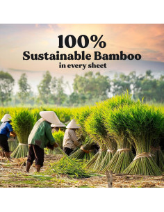 Papel Higiénico Orgánico ZENO 3 Capas 12 Rollos Jumbo 350 Hojas 2