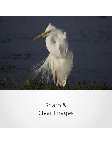 Lente Sony E 70-350mm f/4.5-6.3 G OSS Telefoto APS-C