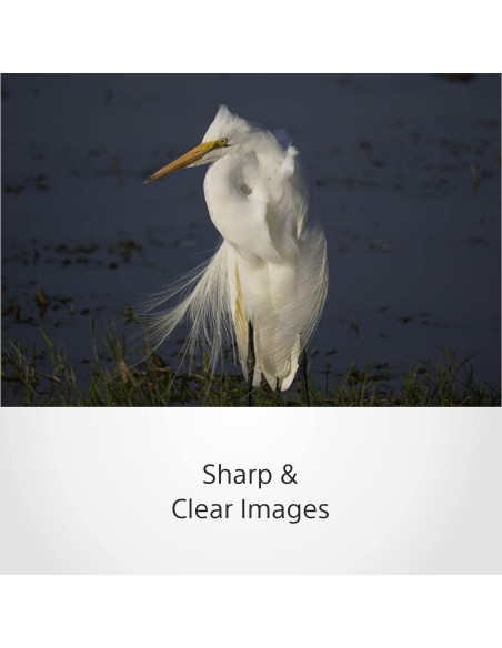 Lente Sony E 70-350mm f/4.5-6.3 G OSS Telefoto APS-C