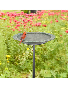 Baño de Aves de Cobre Puro Good Directions 33cm x 101.6cm 2