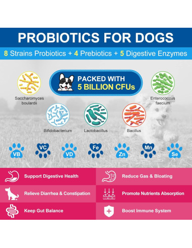 Suplemento Multivitamínico en Polvo para Perros Nature Target 90 Porciones