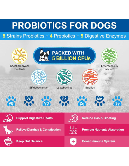 Suplemento Multivitamínico en Polvo para Perros Nature Target 90 Porciones